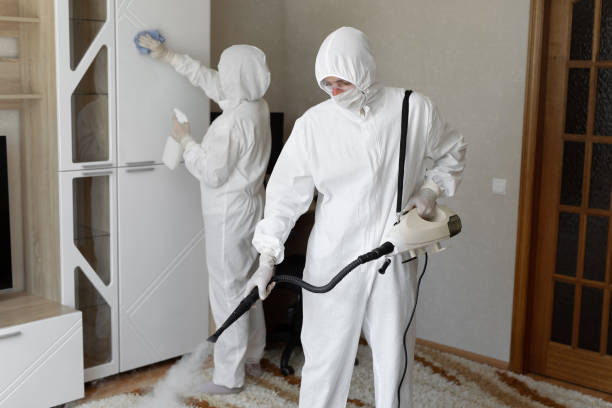Best Certified Mold Removal  in St Paul, VA