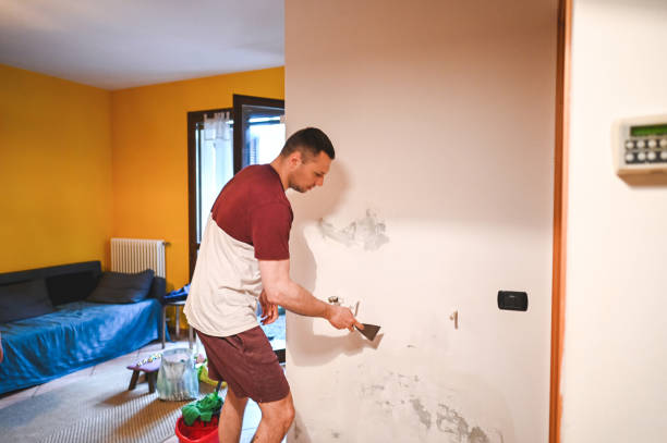 Best Mold Remediation  in St Paul, VA